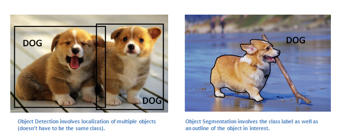 A Beginner's Guide To Understanding Convolutional Neural Networks