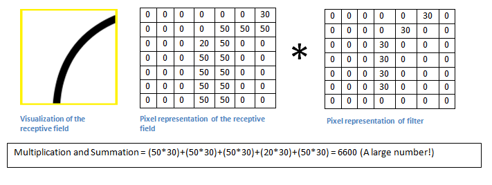 A Beginner's Guide To Understanding Convolutional Neural Networks